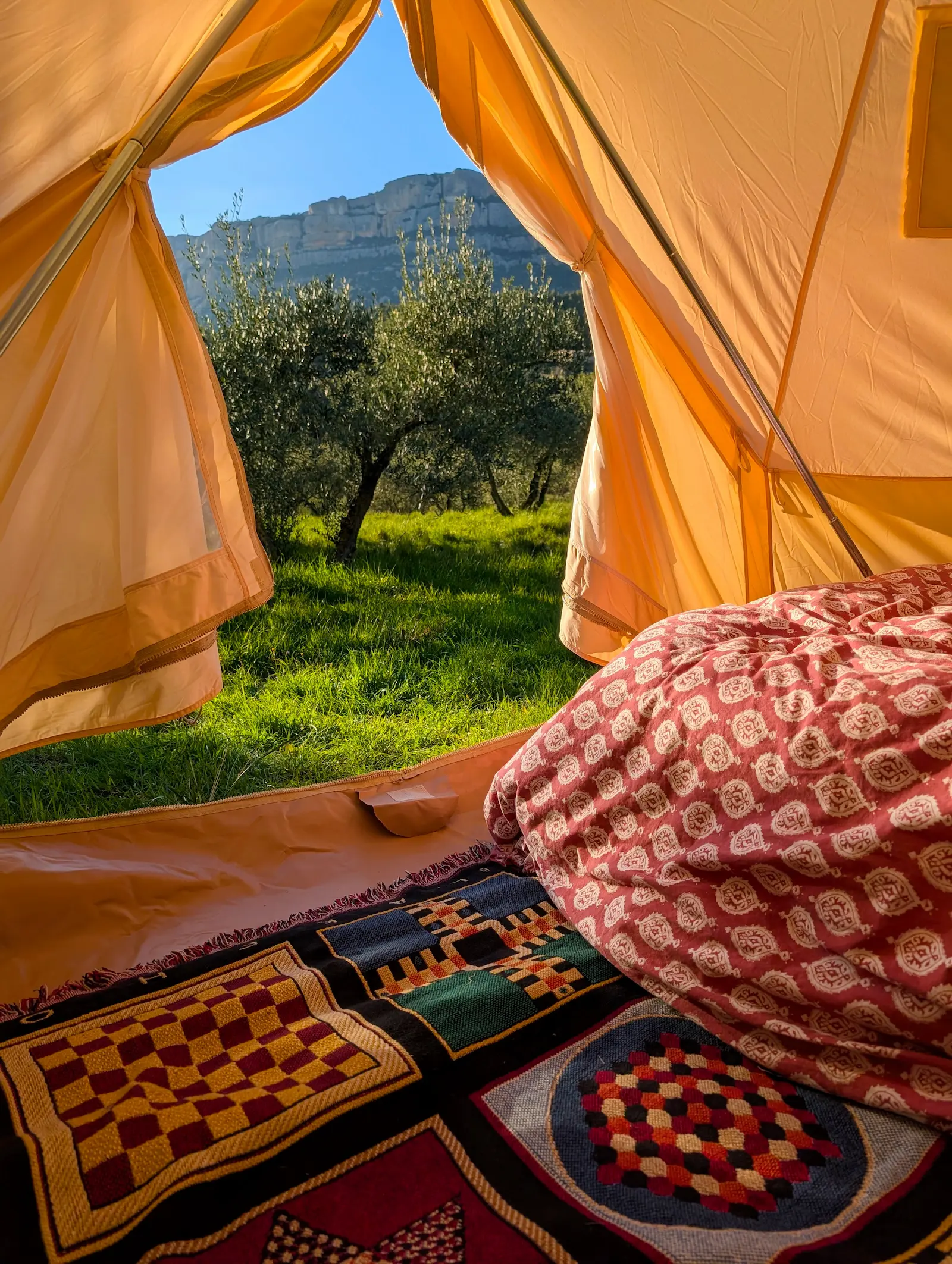 View from inside the tent